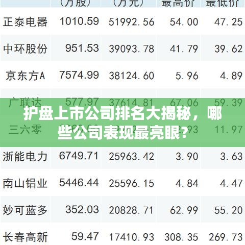護(hù)盤上市公司排名大揭秘，哪些公司表現(xiàn)最亮眼？