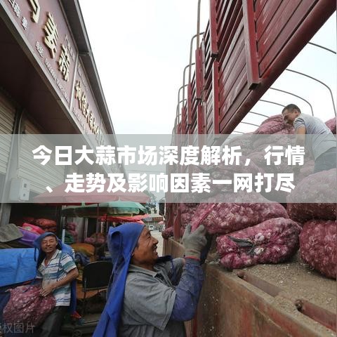 今日大蒜市場深度解析，行情、走勢及影響因素一網(wǎng)打盡