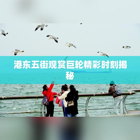 港東五街觀賞巨輪精彩時(shí)刻揭秘