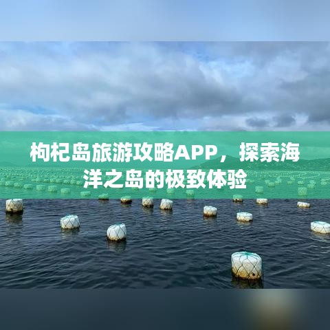 枸杞島旅游攻略APP，探索海洋之島的極致體驗(yàn)