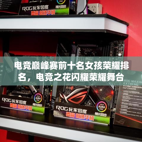 電競巔峰賽前十名女孩榮耀排名，電競之花閃耀榮耀舞臺