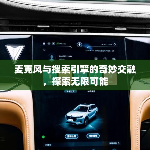 麥克風(fēng)與搜索引擎的奇妙交融，探索無限可能