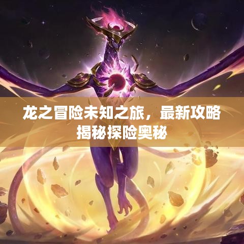 龍之冒險未知之旅，最新攻略揭秘探險奧秘