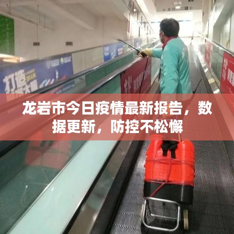 龍巖市今日疫情最新報(bào)告，數(shù)據(jù)更新，防控不松懈