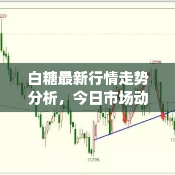 白糖最新行情走勢(shì)分析，今日市場動(dòng)態(tài)揭秘