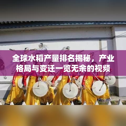 全球水稻產量排名揭秘，產業(yè)格局與變遷一覽無余的視頻