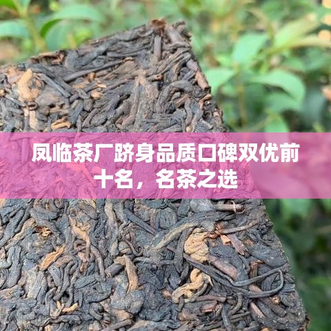 鳳臨茶廠躋身品質(zhì)口碑雙優(yōu)前十名，名茶之選