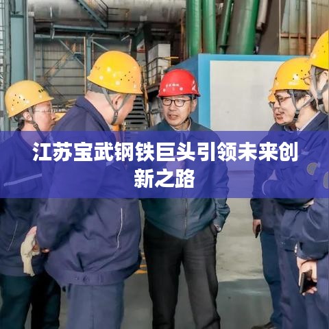 江蘇寶武鋼鐵巨頭引領(lǐng)未來(lái)創(chuàng)新之路