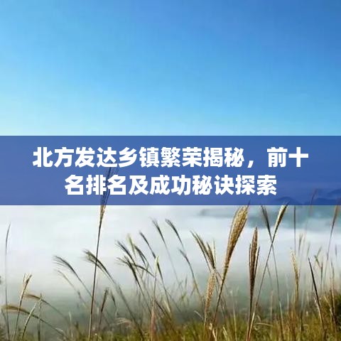北方發(fā)達鄉(xiāng)鎮(zhèn)繁榮揭秘，前十名排名及成功秘訣探索