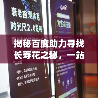 揭秘百度助力尋找長(zhǎng)壽花之秘，一站式搜索指南助你輕松探知長(zhǎng)壽花奧秘！