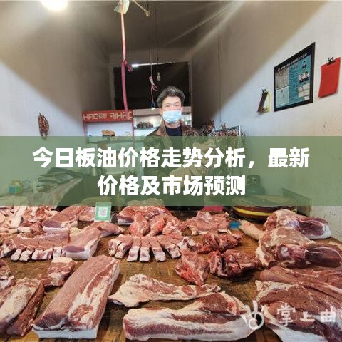 今日板油價格走勢分析，最新價格及市場預(yù)測