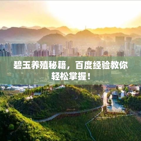 碧玉養(yǎng)殖秘籍，百度經(jīng)驗教你輕松掌握！