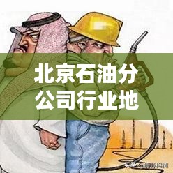 北京石油分公司行業(yè)地位深度解析