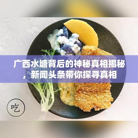 廣西水塘背后的神秘真相揭秘，新聞?lì)^條帶你探尋真相