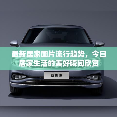 最新居家圖片流行趨勢(shì)，今日居家生活的美好瞬間欣賞
