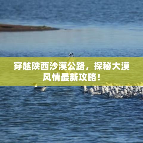 穿越陜西沙漠公路，探秘大漠風(fēng)情最新攻略！