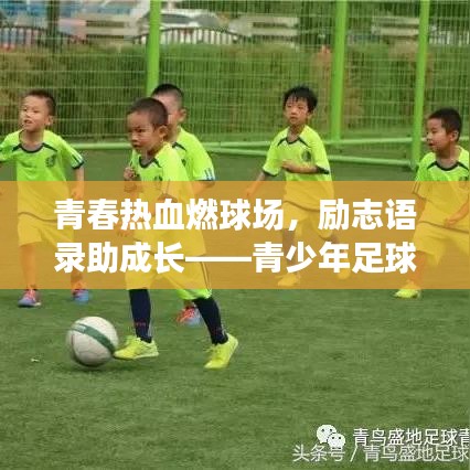 青春熱血燃球場，勵志語錄助成長——青少年足球之路的激情與夢想