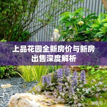 上品花園全新房價(jià)與新房出售深度解析