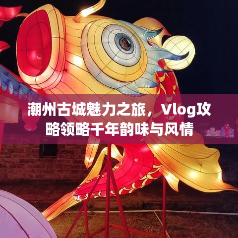 潮州古城魅力之旅，Vlog攻略領(lǐng)略千年韻味與風(fēng)情