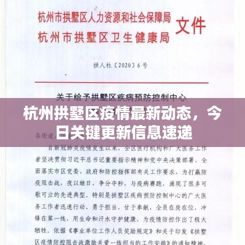 杭州拱墅區(qū)疫情最新動態(tài)，今日關(guān)鍵更新信息速遞