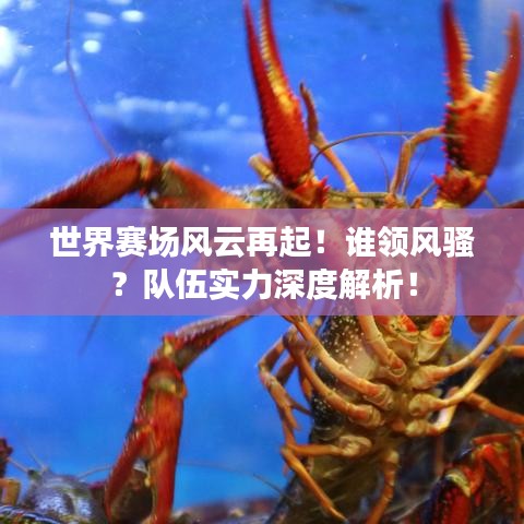 世界賽場風云再起！誰領(lǐng)風騷？隊伍實力深度解析！