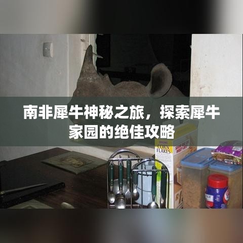 南非犀牛神秘之旅，探索犀牛家園的絕佳攻略
