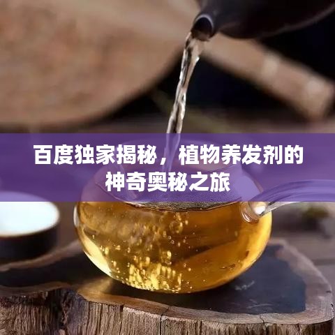 百度獨家揭秘，植物養(yǎng)發(fā)劑的神奇奧秘之旅