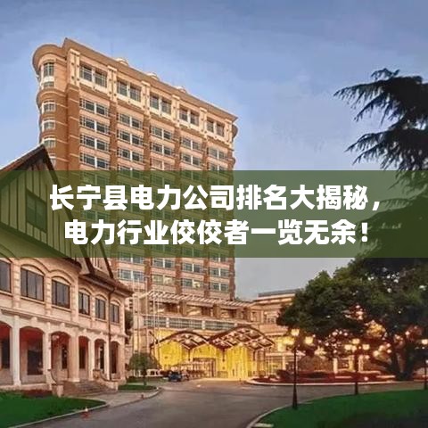 長(zhǎng)寧縣電力公司排名大揭秘，電力行業(yè)佼佼者一覽無余！