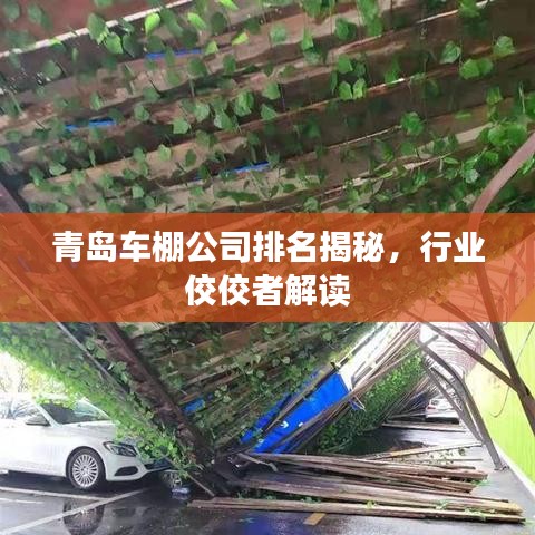 青島車棚公司排名揭秘，行業(yè)佼佼者解讀
