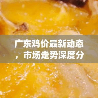 廣東雞價最新動態(tài)，市場走勢深度分析與預測