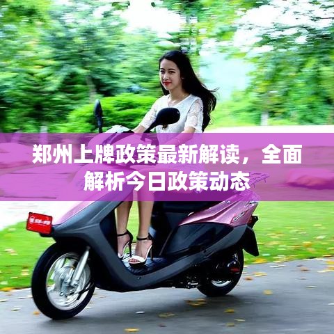 鄭州上牌政策最新解讀，全面解析今日政策動態(tài)