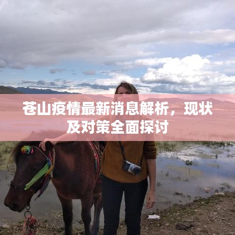 蒼山疫情最新消息解析，現(xiàn)狀及對策全面探討