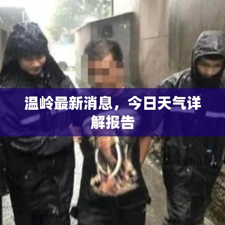 溫嶺最新消息，今日天氣詳解報告