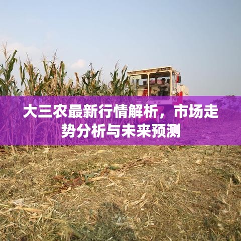 大三農(nóng)最新行情解析，市場(chǎng)走勢(shì)分析與未來預(yù)測(cè)