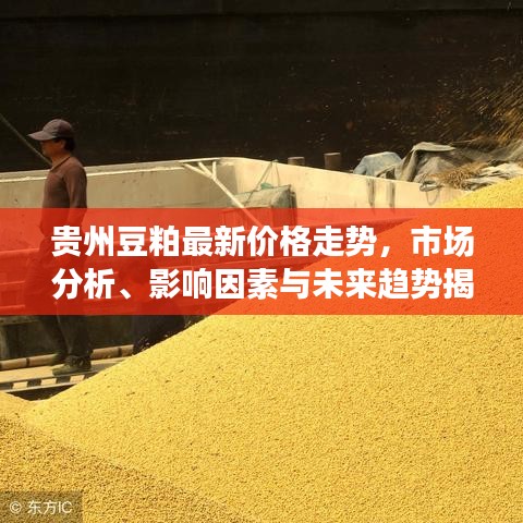 貴州豆粕最新價格走勢，市場分析、影響因素與未來趨勢揭秘