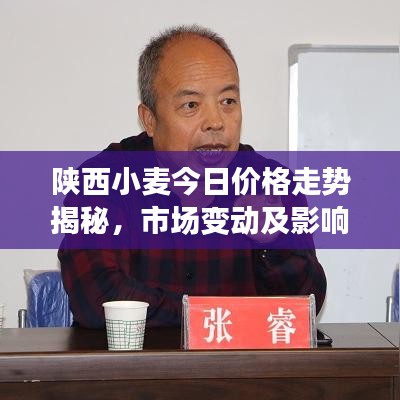 陜西小麥今日價(jià)格走勢(shì)揭秘，市場(chǎng)變動(dòng)及影響因素深度解析
