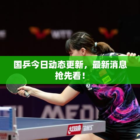 國乒今日動態(tài)更新，最新消息搶先看！
