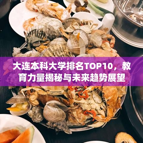 大連本科大學(xué)排名TOP10，教育力量揭秘與未來趨勢展望