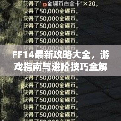 FF14最新攻略大全，游戲指南與進(jìn)階技巧全解析