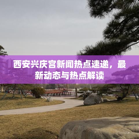 西安興慶宮新聞熱點速遞，最新動態(tài)與熱點解讀