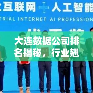 大連數(shù)據(jù)公司排名揭秘，行業(yè)翹楚引領(lǐng)數(shù)字化浪潮