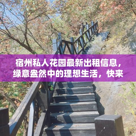 宿州私人花園最新出租信息，綠意盎然中的理想生活，快來尋找你的綠色家園！