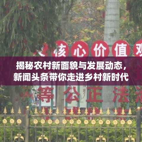 揭秘農(nóng)村新面貌與發(fā)展動(dòng)態(tài)，新聞?lì)^條帶你走進(jìn)鄉(xiāng)村新時(shí)代