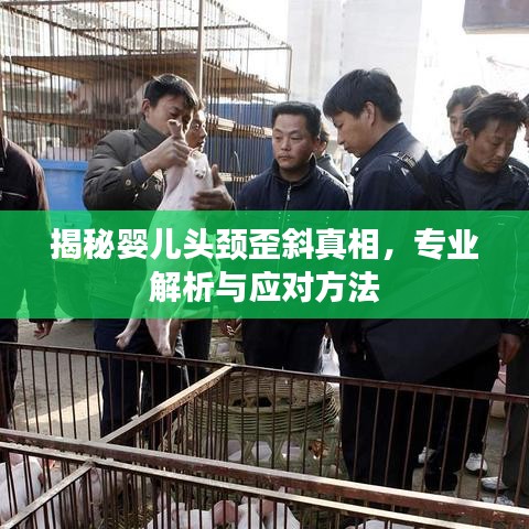 揭秘嬰兒頭頸歪斜真相，專業(yè)解析與應(yīng)對(duì)方法