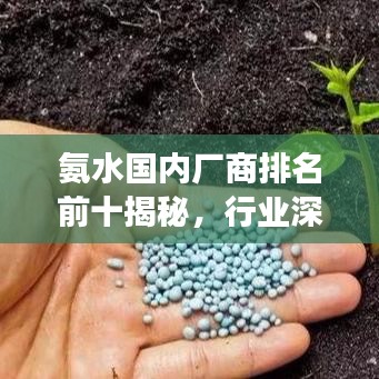 氨水國(guó)內(nèi)廠(chǎng)商排名前十揭秘，行業(yè)深度洞察與權(quán)威分析