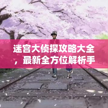 迷宮大偵探攻略大全，最新全方位解析手冊(cè)！