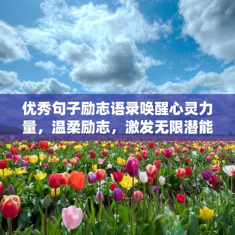 優(yōu)秀句子勵志語錄喚醒心靈力量，溫柔勵志，激發(fā)無限潛能