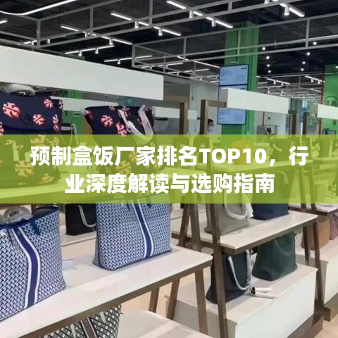 預制盒飯廠家排名TOP10，行業(yè)深度解讀與選購指南