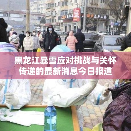 黑龍江暴雪應對挑戰(zhàn)與關懷傳遞的最新消息今日報道