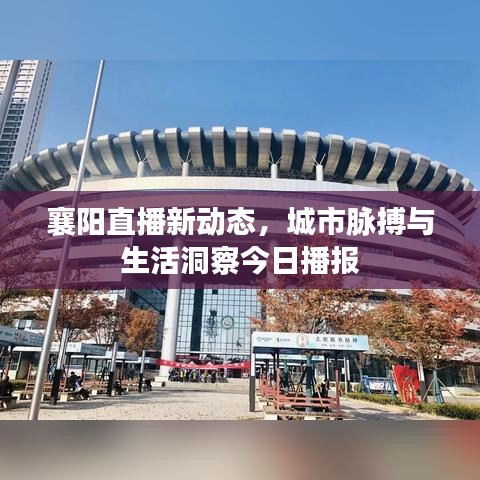 襄陽直播新動態(tài)，城市脈搏與生活洞察今日播報